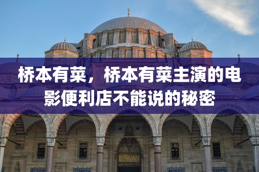 桥本有菜，桥本有菜主演的电影便利店不能说的秘密