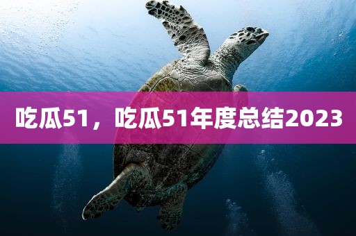 吃瓜51，吃瓜51年度总结2023