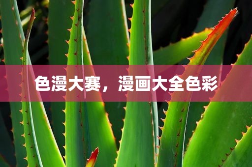 色漫大赛，漫画大全色彩