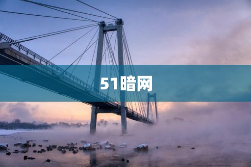 51暗网