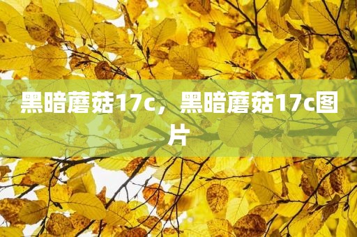 黑暗蘑菇17c，黑暗蘑菇17c图片