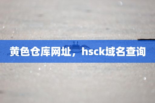 黄色仓库网址，hsck域名查询