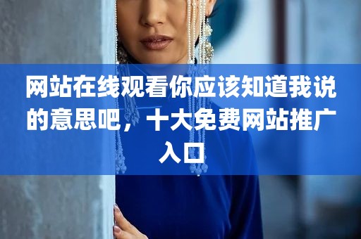 网站在线观看你应该知道我说的意思吧，十大免费网站推广入口