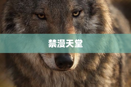 禁漫天堂