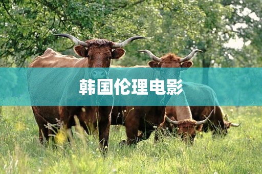 韩国伦理电影