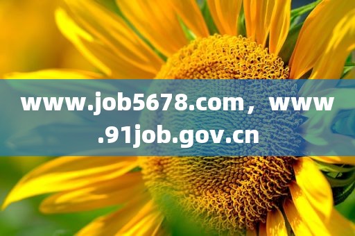 www.job5678.com，www.91job.gov.cn