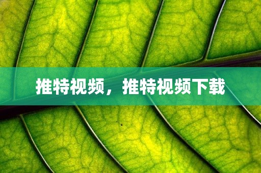 推特视频，推特视频下载