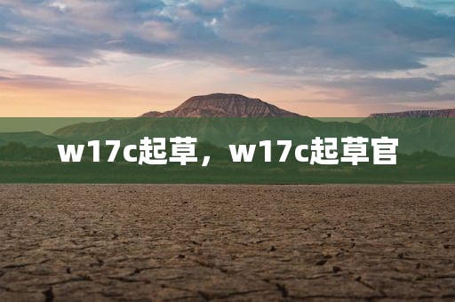w17c起草，w17c起草官