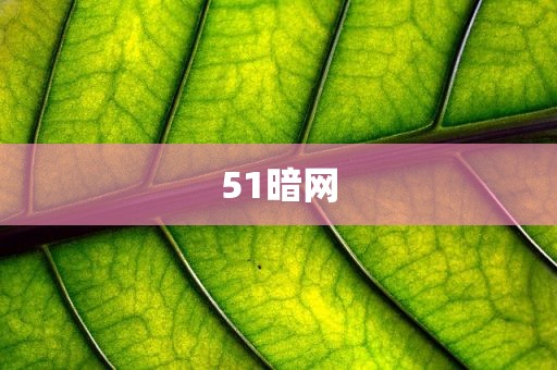 51暗网