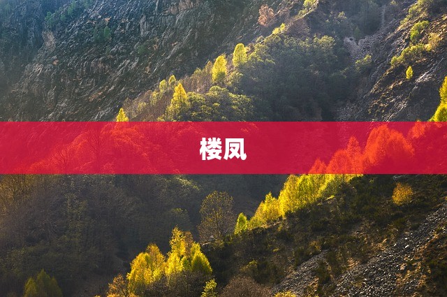 楼凤