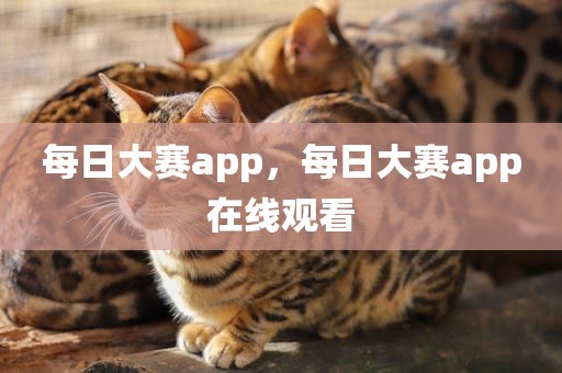 每日大赛app，每日大赛app在线观看