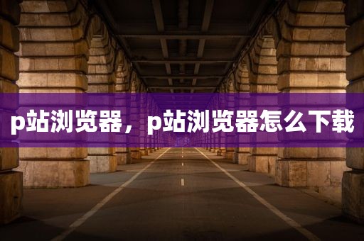 p站浏览器，p站浏览器怎么下载