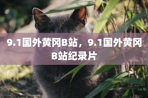 9.1国外黄冈B站，9.1国外黄冈B站纪录片
