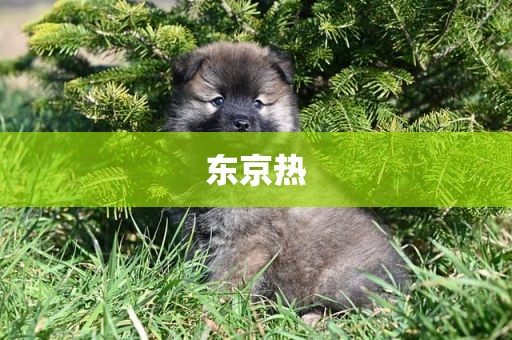 东京热