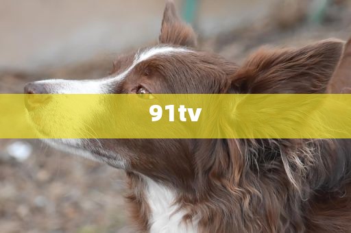 91tv