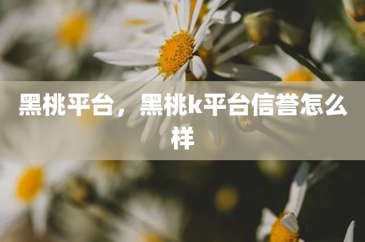 黑桃平台，黑桃k平台信誉怎么样