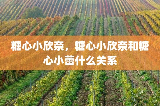 糖心小欣奈，糖心小欣奈和糖心小蕾什么关系