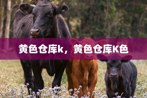 黄色仓库k，黄色仓库K色