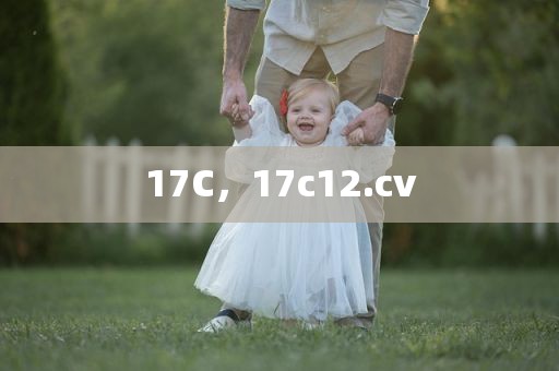 17C，17c12.cv