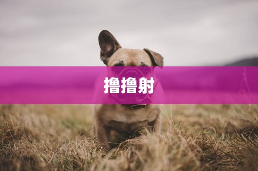 撸撸射