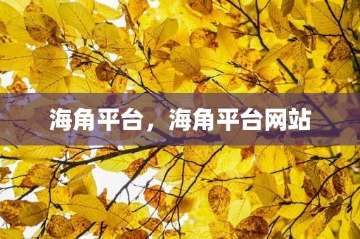 海角平台，海角平台网站
