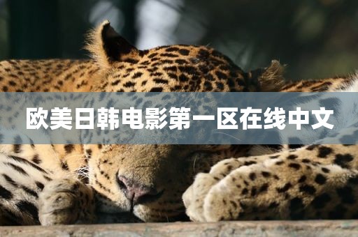 欧美日韩电影第一区在线中文