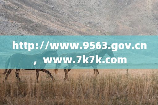 http://www.9563.gov.cn，www.7k7k.com