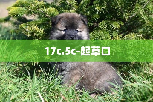 17c.5c-起草口