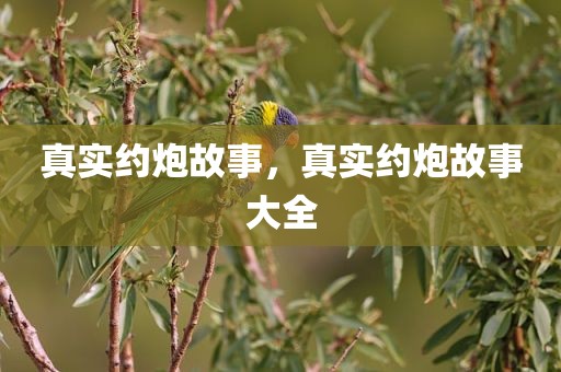 真实约炮故事，真实约炮故事大全