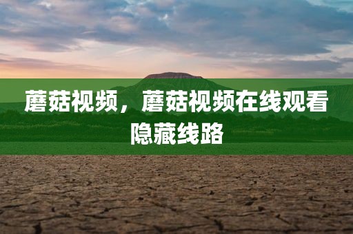 蘑菇视频，蘑菇视频在线观看隐藏线路