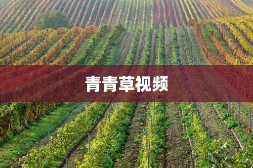 青青草视频