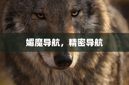 媚魔导航，精密导航
