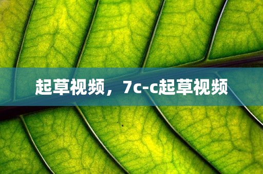 起草视频，7c-c起草视频