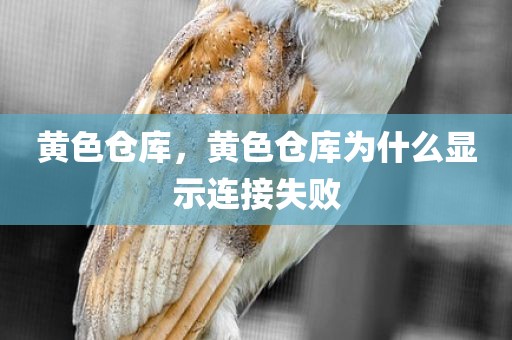 黄色仓库，黄色仓库为什么显示连接失败
