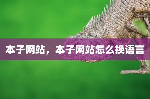 本子网站，本子网站怎么换语言