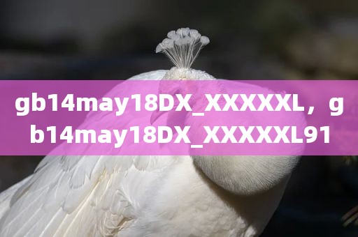 gb14may18DX_XXXXXL，gb14may18DX_XXXXXL91