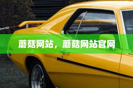 蘑菇网站，蘑菇网站官网