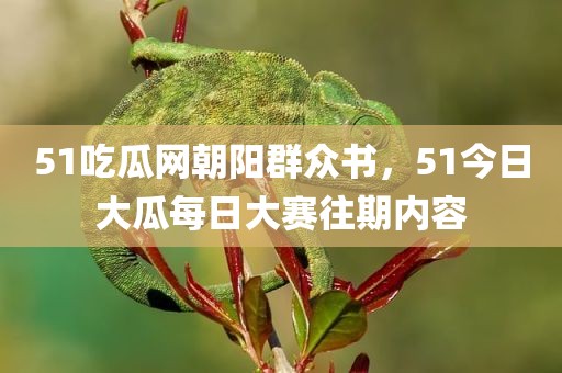 51吃瓜网朝阳群众书，51今日大瓜每日大赛往期内容