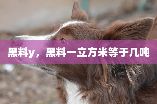 黑料y，黑料一立方米等于几吨