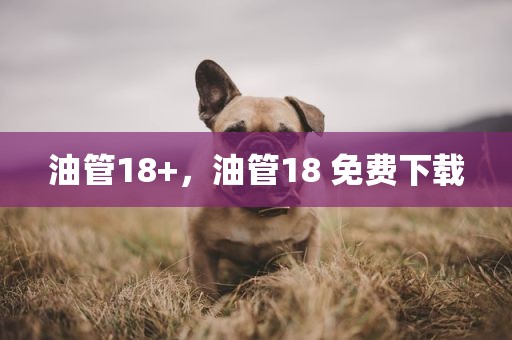 油管18+，油管18 免费下载