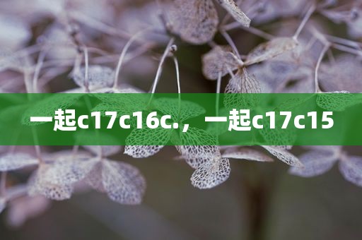 一起c17c16c.，一起c17c15
