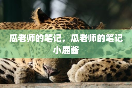 瓜老师的笔记，瓜老师的笔记小鹿酱