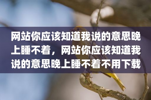 网站你应该知道我说的意思晚上睡不着，网站你应该知道我说的意思晚上睡不着不用下载