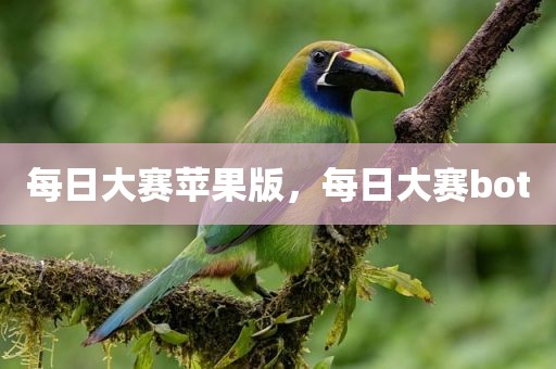 每日大赛苹果版，每日大赛bot