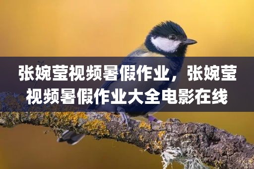张婉莹视频暑假作业，张婉莹视频暑假作业大全电影在线