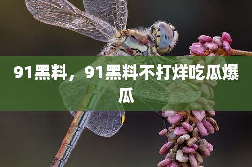 91黑料，91黑料不打烊吃瓜爆瓜