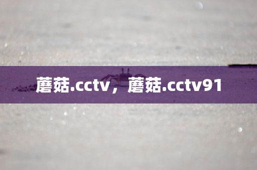 蘑菇.cctv，蘑菇.cctv91