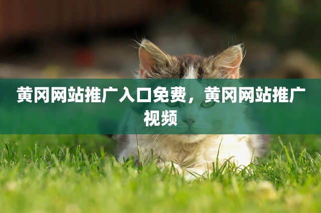 黄冈网站推广入口免费，黄冈网站推广视频