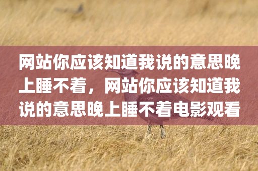 网站你应该知道我说的意思晚上睡不着，网站你应该知道我说的意思晚上睡不着电影观看