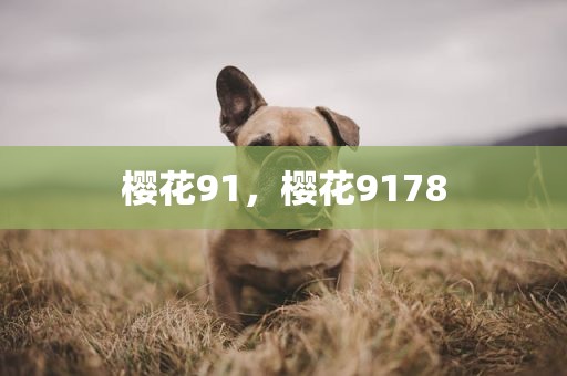 樱花91，樱花9178